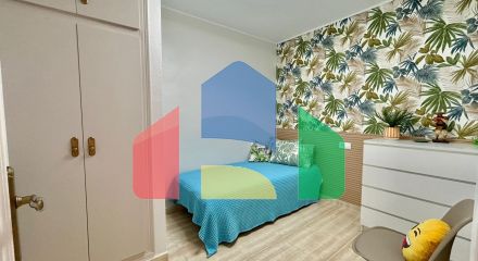 Apartments in Torrevieja ID B15252