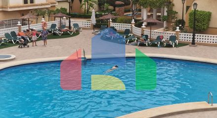 Апартаменты в Торревьеха ID B10873