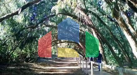 Современные апартаменты с 2 и 3 спальнями