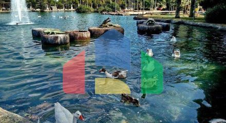 Апартаменты в Торревьеха ID B10941