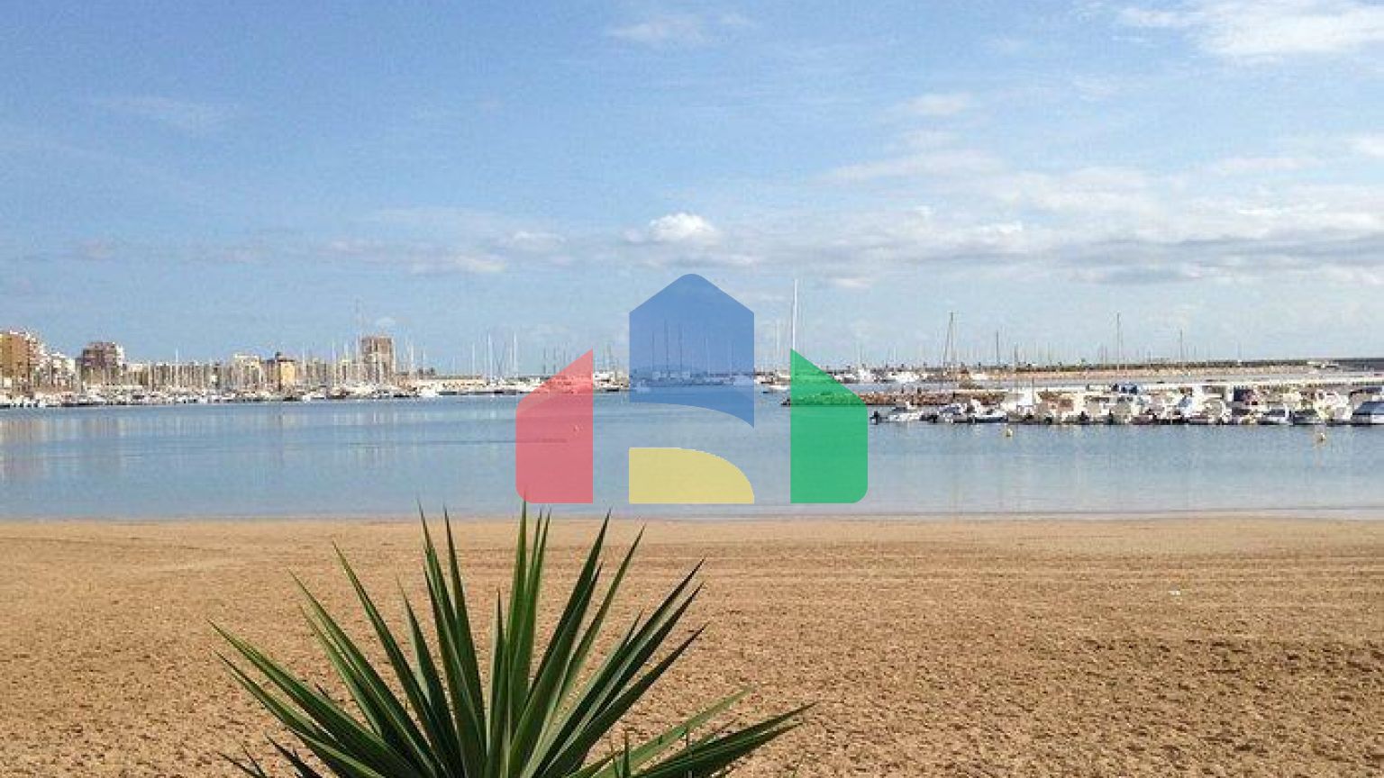 Апартаменты в Торревьеха ID B10941