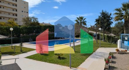 Студия в Торревьеха ID B10807