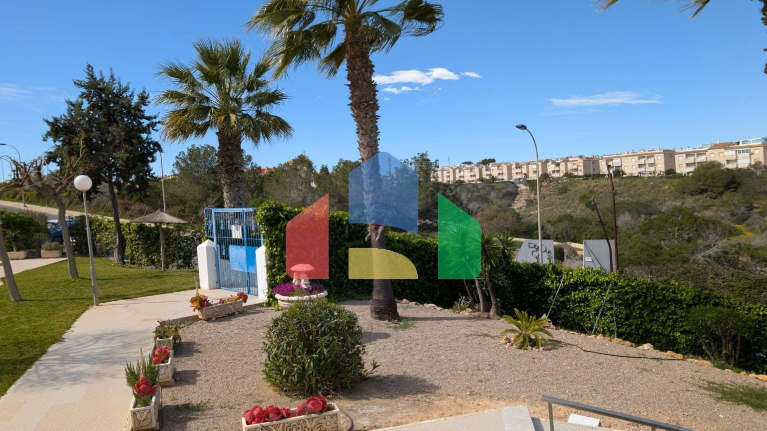 Студия в Торревьеха ID B10807