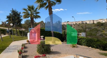 Студия в Торревьеха ID B10807