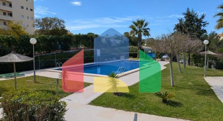 Студия в Торревьеха ID B10807