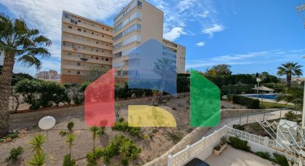 Студия в Торревьеха ID B10807