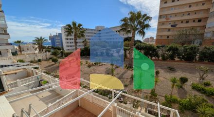 Студия в Торревьеха ID B10807