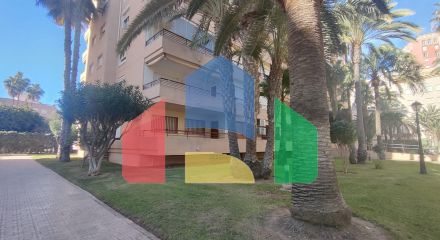 Апартаменты в Торревьеха ID A10401