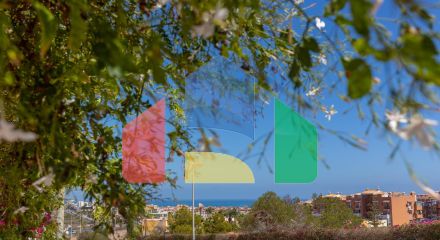 Бунгало в Торревьеха ID B15724