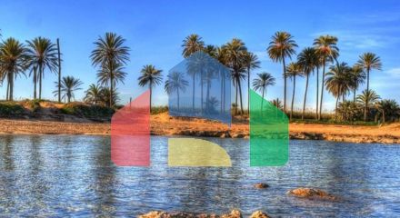 Современные апартаменты рядом с Плайя-дель-Кура в Торревьехе