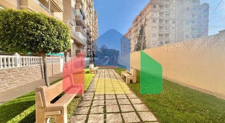 Апартаменты в Торревьеха ID B10800