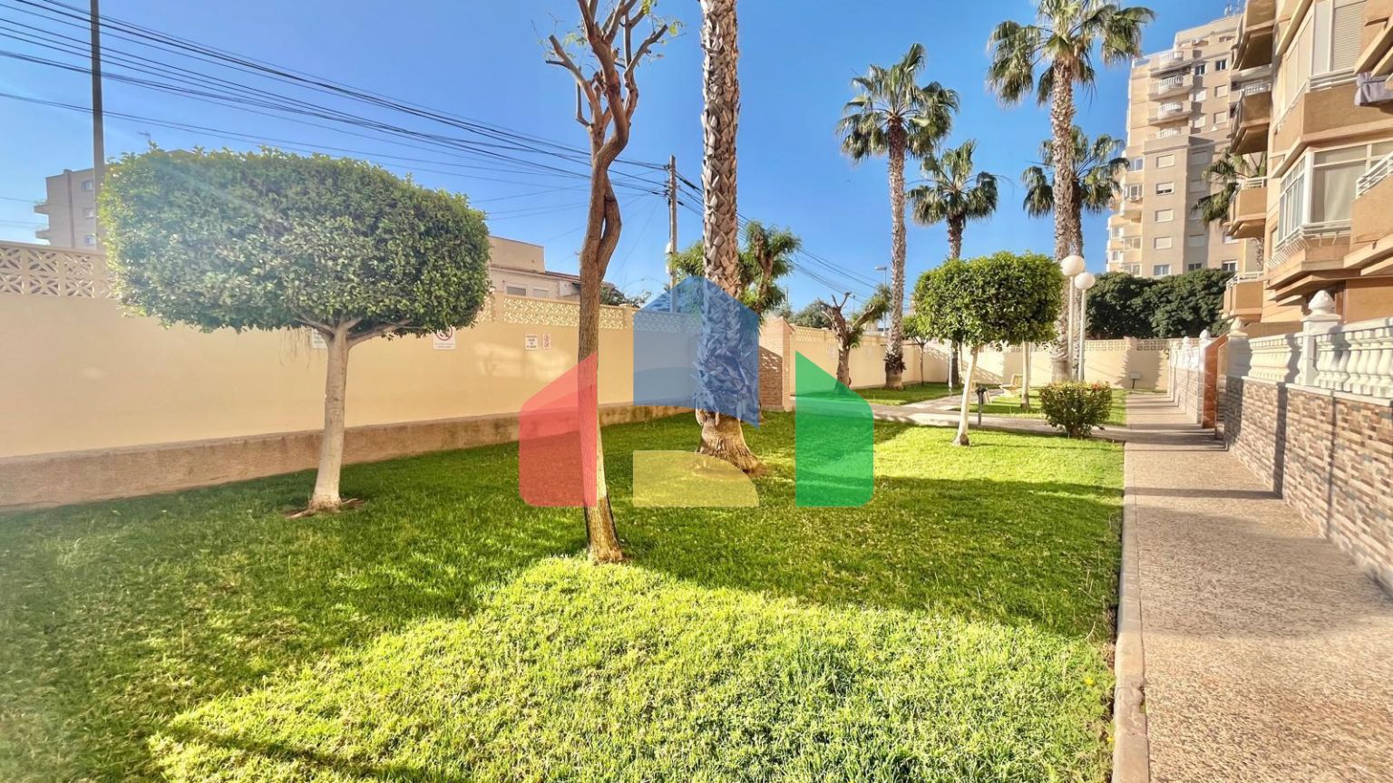 Апартаменты в Торревьеха ID B10800