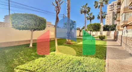 Апартаменты в Торревьеха ID B10800