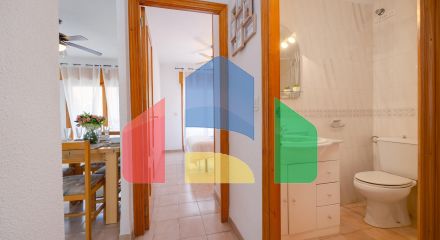 Апартаменты в Торревьеха ID B11026