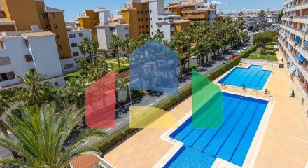 Апартаменты в Торревьеха ID B10913