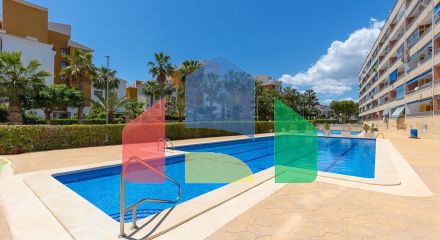 Апартаменты в Торревьеха ID B10913