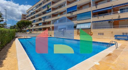 Апартаменты в Торревьеха ID B10913