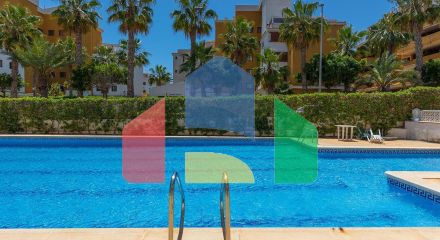 Апартаменты в Торревьеха ID B10913