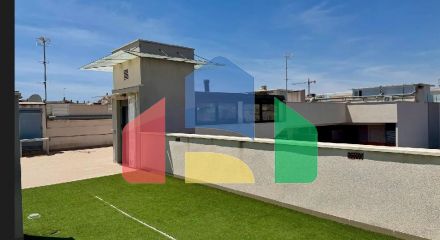 Apartments in Torrevieja ID B10900