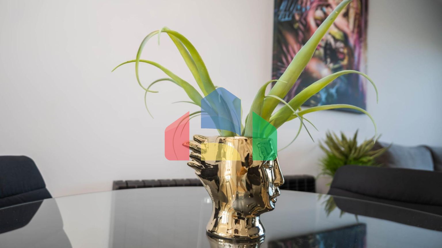 Апартаменты в Торревьеха ID A9008