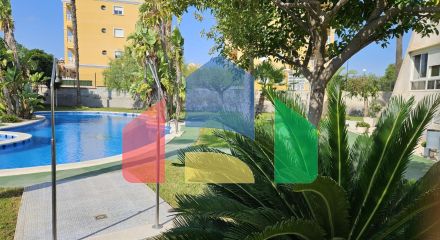 Апартаменти в Торрев’єха ID B11457