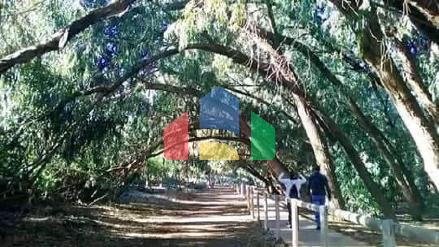 Современные апартаменты с 2 и 3 спальнями