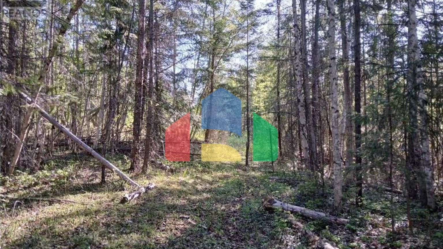 Residential - Vacant Land - Clearwater, Canada - Canada