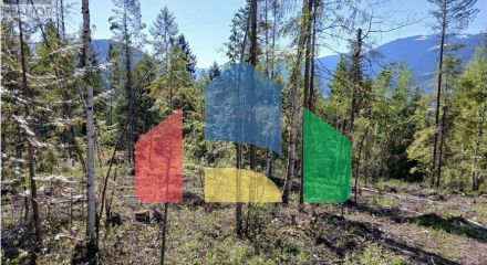 Residential - Vacant Land - Clearwater, Canada - Canada