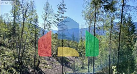 Residential - Vacant Land - Clearwater, Canada - Canada