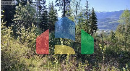 Residential - Vacant Land - Clearwater, Canada - Canada