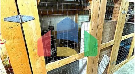 Residential - Condo/Apartment - Edmonton, Canada - Canada