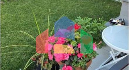 Residential - Single Family Home - Edmonton, Canada - Canada