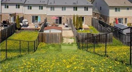 Residential - Single Family Home - Guelph, Canada - Canada