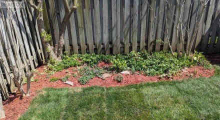 Residential - Condo/Apartment - Hamilton, Canada - Canada