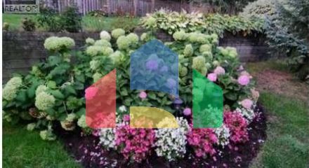 Residential - Single Family Home - Kitchener, Canada - Canada