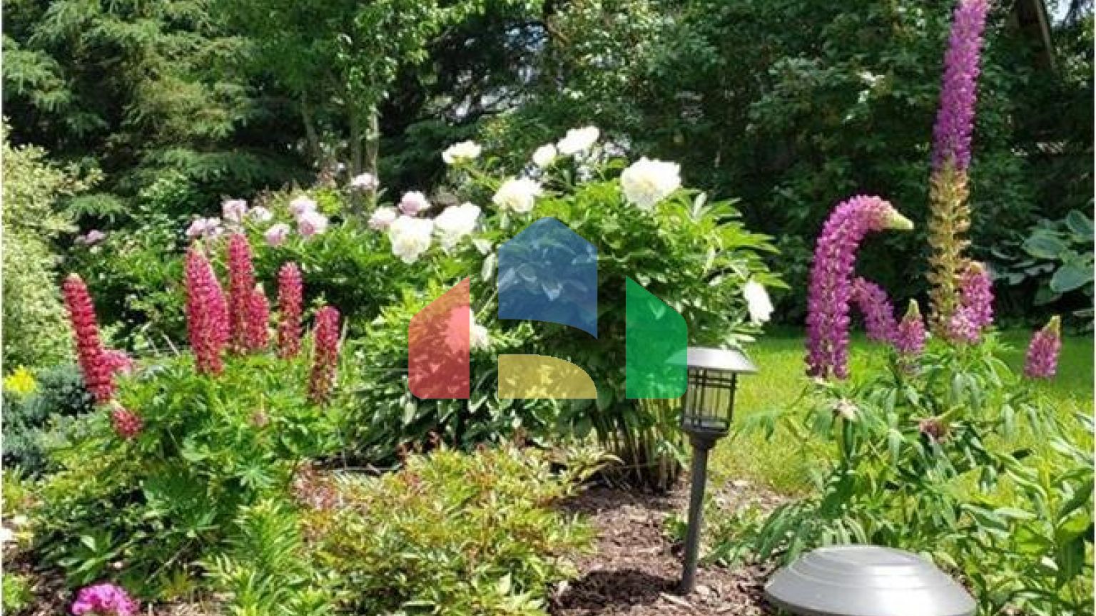 Residential - Single Family Home - Kitchener, Canada - Canada