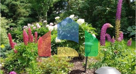 Residential - Single Family Home - Kitchener, Canada - Canada