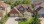Residential - Single Family Home - Kitchener, Canada - Canada