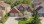 Residential - Single Family Home - Kitchener, Canada - Canada
