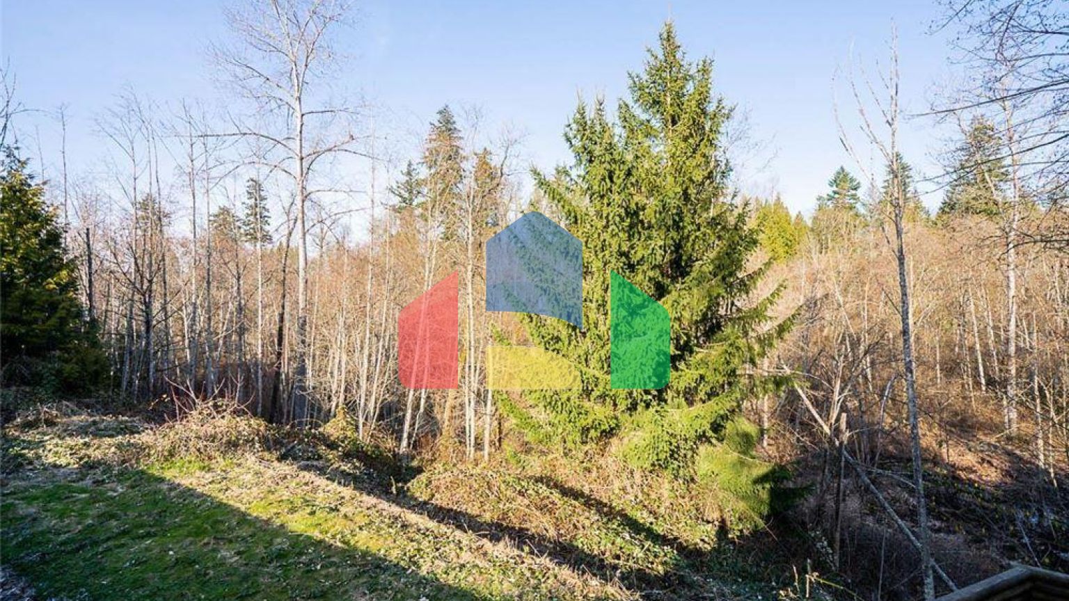 Residential - Single Family Home - Langley, Canada - Canada