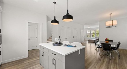 Residential - Single Family Home - Langley, Canada - Canada