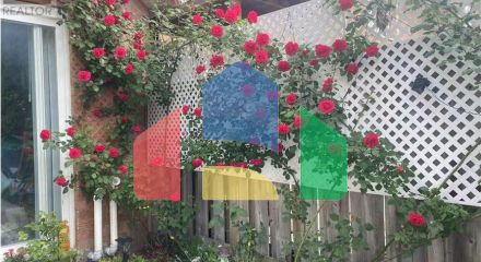 Residential - Single Family Home - Markham, Canada - Canada