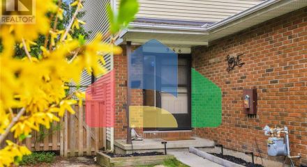 Residential - Condo/Apartment - Ottawa, Canada - Canada