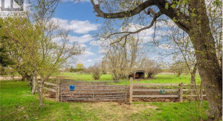 Commercial - Farm - Ottawa, Canada - Canada