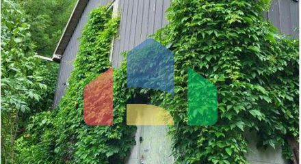 Residential - Single Family Home - Richmond Hill, Canada - Canada