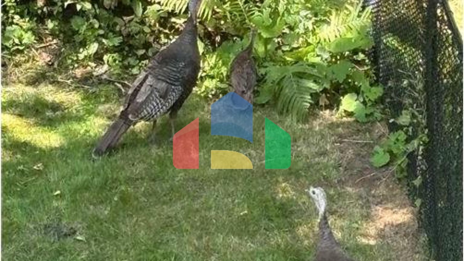 Residential - Single Family Home - Richmond Hill, Canada - Canada