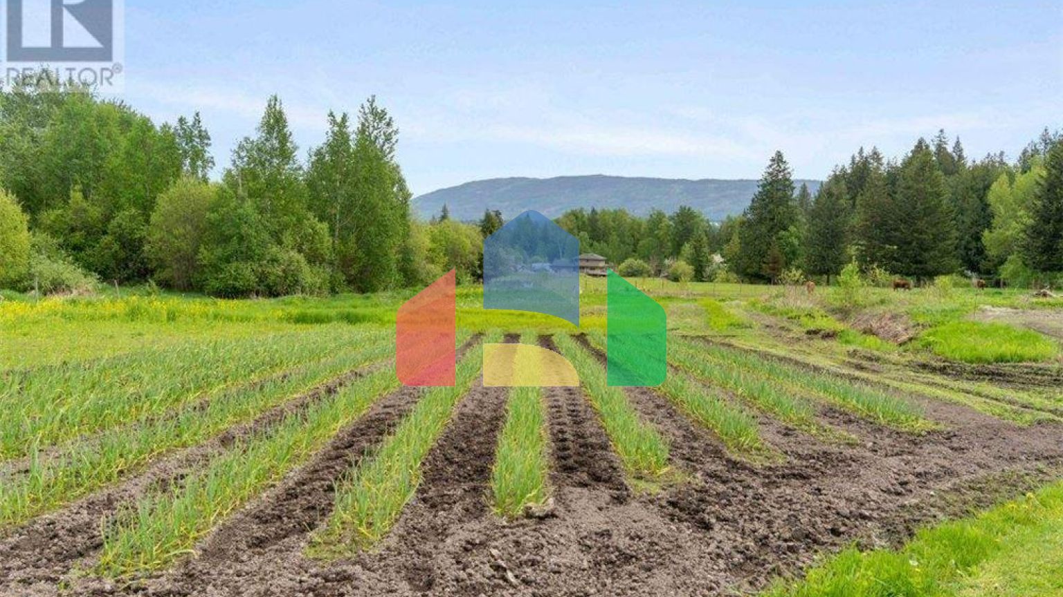 Residential - Single Family Home - Salmon Arm, Canada - Canada