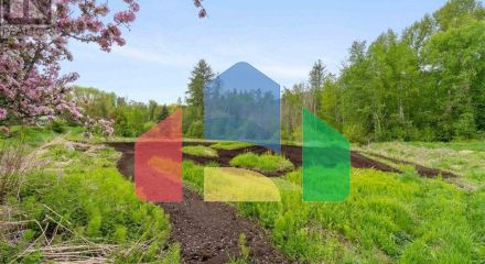 Residential - Single Family Home - Salmon Arm, Canada - Canada