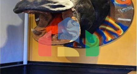 Residential - Multi-Family - Vancouver, Canada - Canada