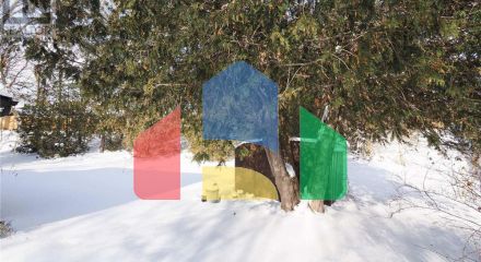 Residential - Single Family Home - Waterloo, Canada - Canada